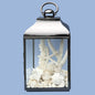 Coral and shell pack white for Hurricane lamp (Lamp not included)