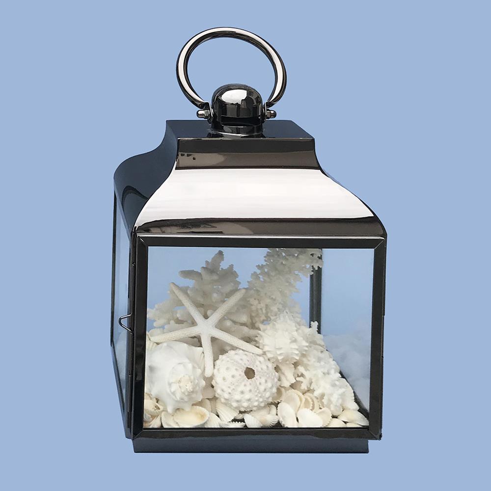 Coral and shell pack white for Hurricane lamp (Lamp not included)