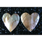 Brownlip pearled heart