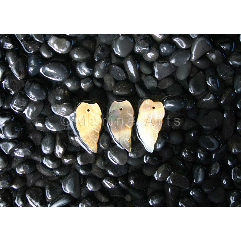 Goldlip pearled leaf