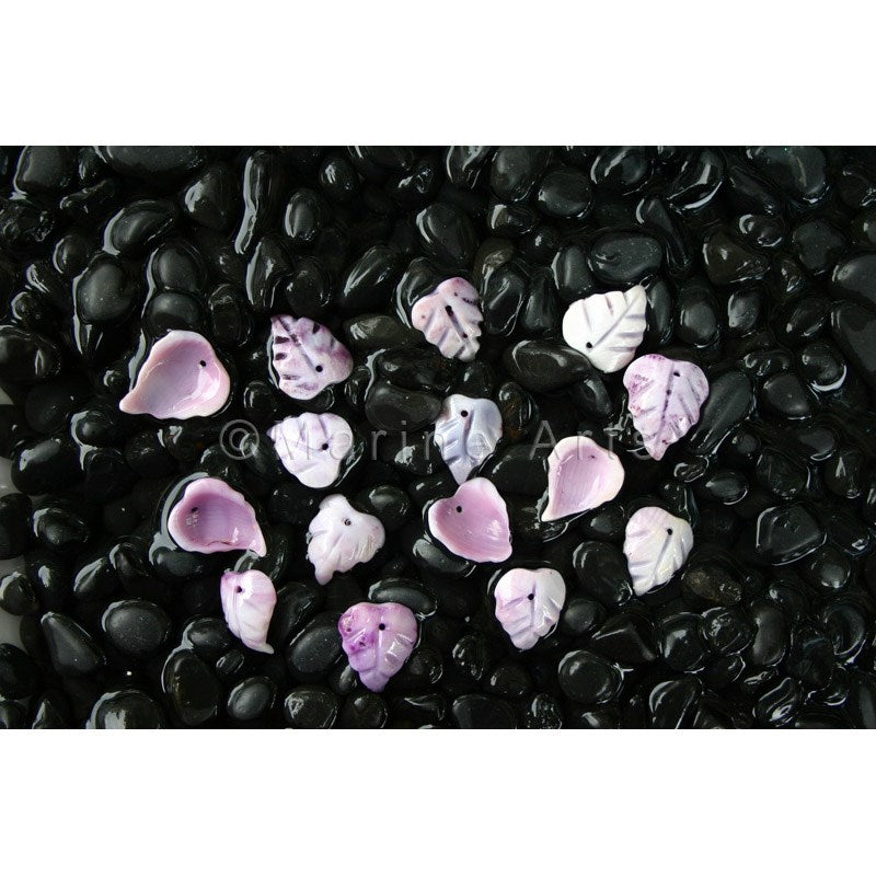 Violacea leaves small