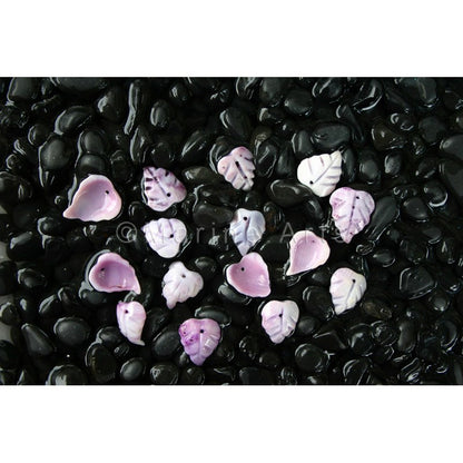 Violacea leaves small