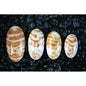 Osmena oval natural stripe