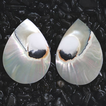 Nautilus pearl tigereye giant piece