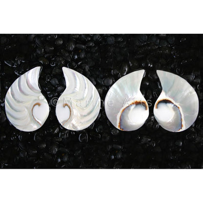 Nautilus pearl halfmoon tigereye large piece