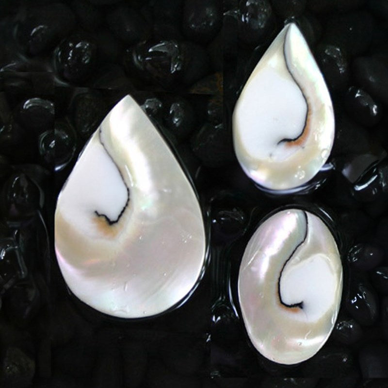 Nautilus pearl tigereye