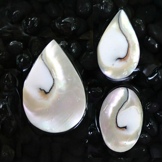 Nautilus pearl tigereye