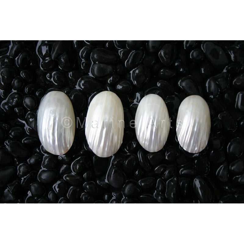 Osmena silvermouth per pair