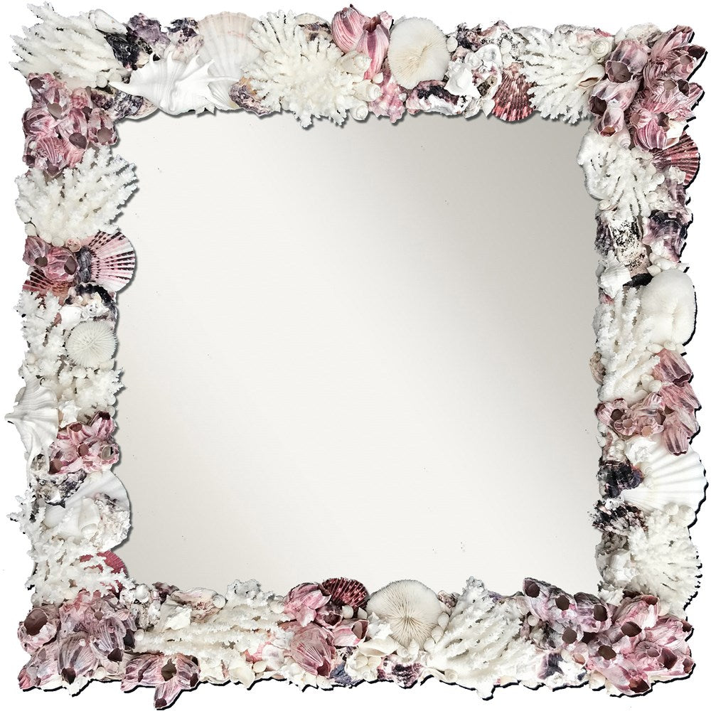 Mirror coral shell - scallop, barnacle and oyster