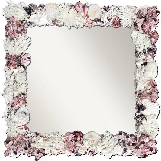 Mirror coral shell - scallop, barnacle and oyster