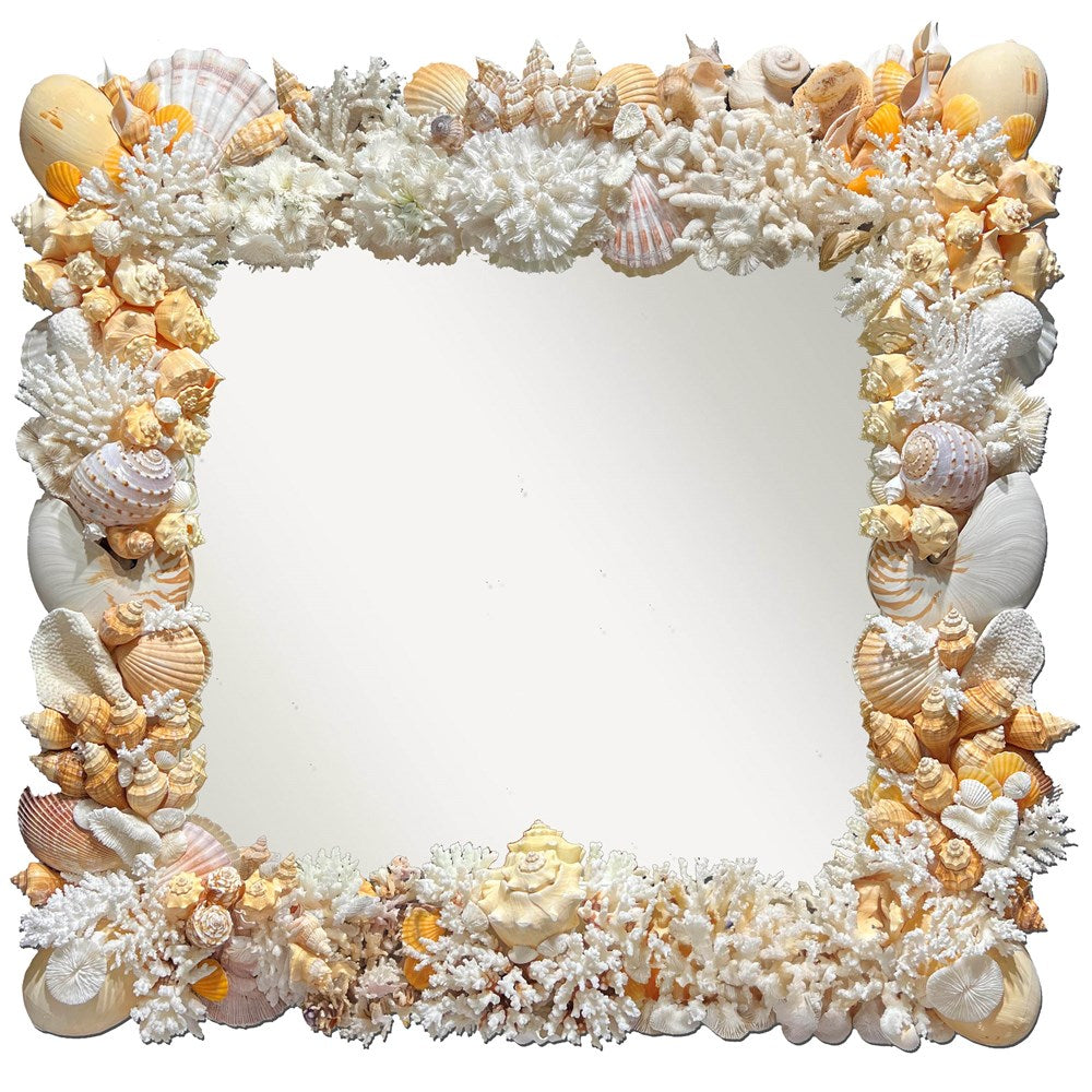 Mirror coral shell - cream and white
