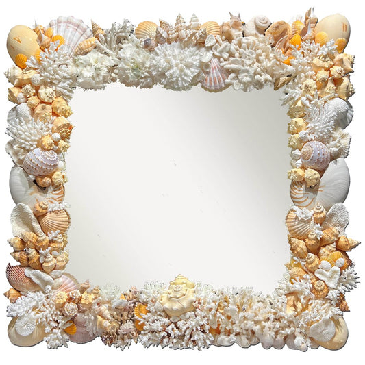 Mirror coral shell - cream and white