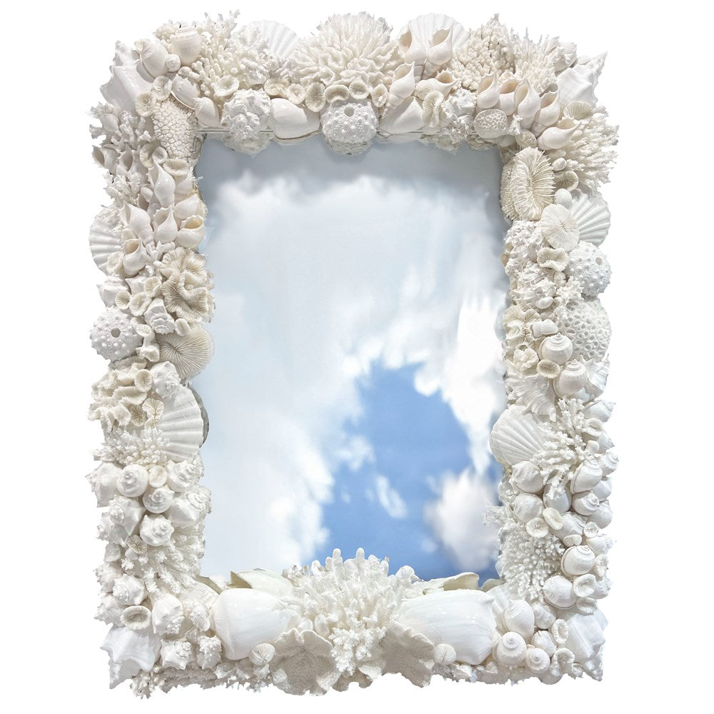 Mirror coral shell - white