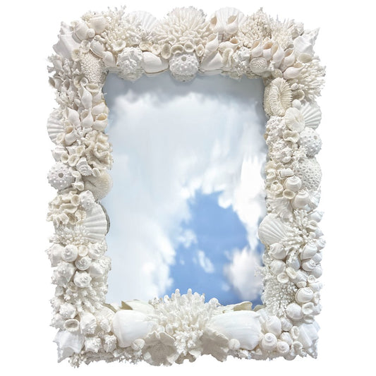 Mirror coral shell - white