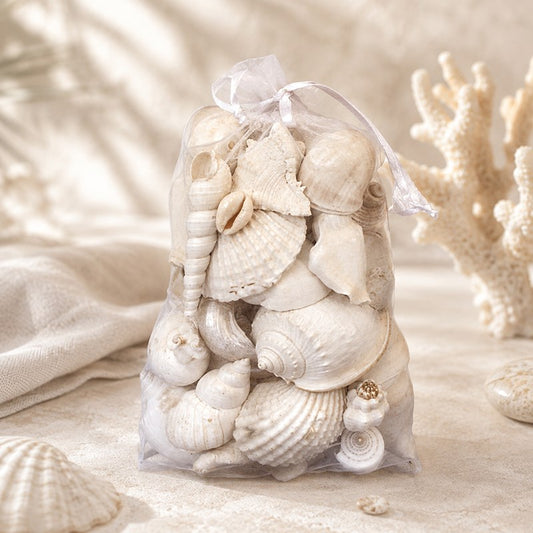 Organza shell pack white shells