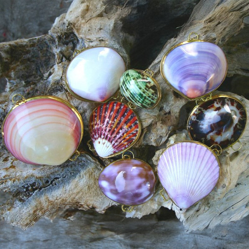 Shell purse mixed