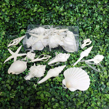 Decoration pack glitter shells white - rectangle with ribbon (Pack of 6)