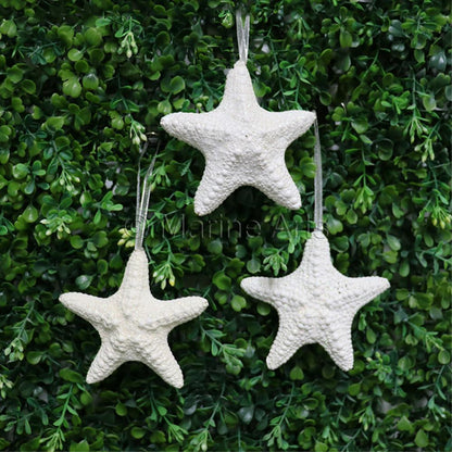 Decoration pack glitter starfish jungle - square with ribbon (Pack of 8)