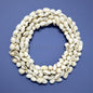 Decoration wired wreath white Anadara granosa cockles