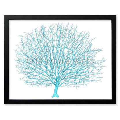 Frame black - no mat - artificial aqua seafan on white