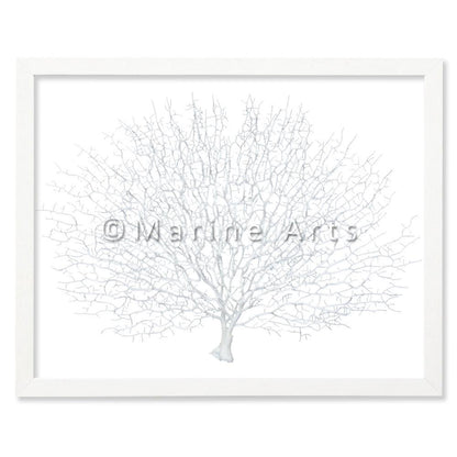 Frame white - no mat - artificial white seafan on white
