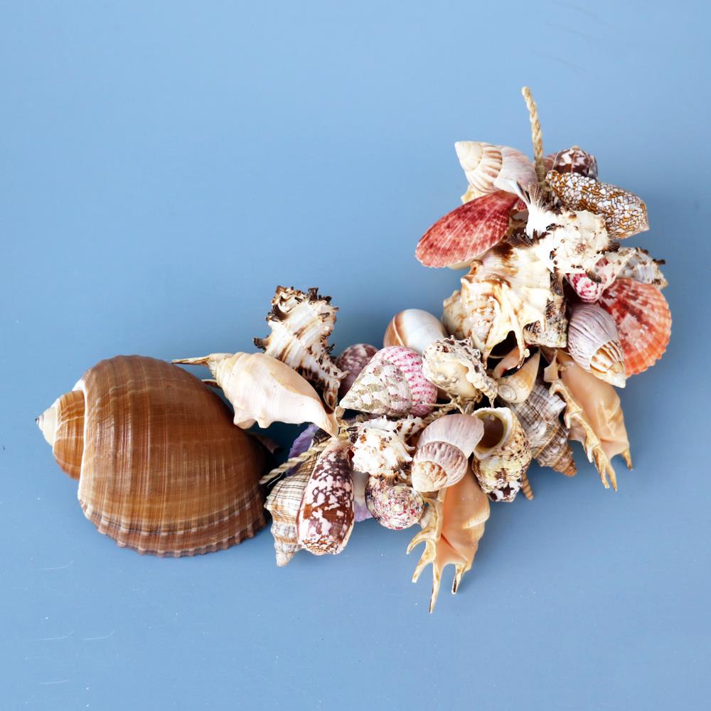 Garland abaca and assorted mixed shell 60cm
