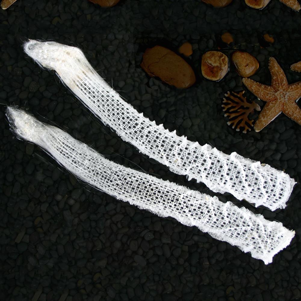Venus Flower Basket